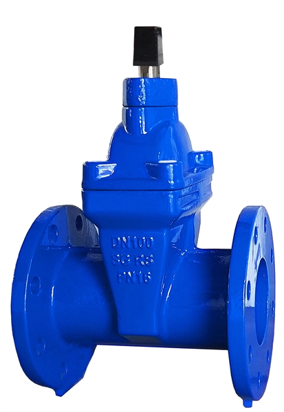 1041 PN16 RESILIENT SEAL GATE VALVE,NRS
