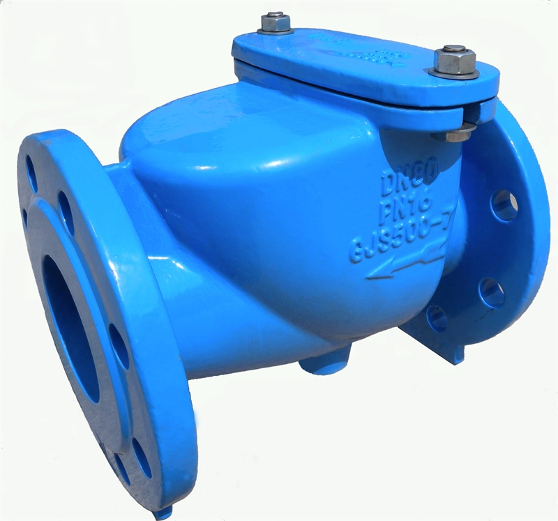 2001 PN16 SWING CHECK VALVE,RESILIENT SEAL