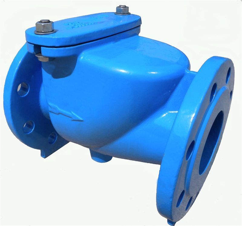 2002 PN16 SWING CHECK VALVE,RESILIENT SEAL